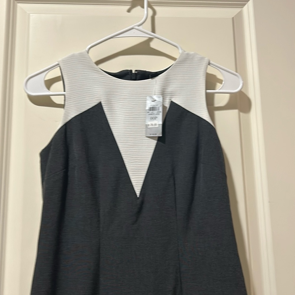 NWT Ann Taylor Petite sleeveless fitted Dress stretch zip back size 00P